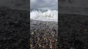 Omg! The Best Beach Ever!