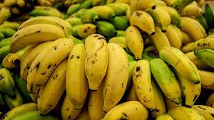 Banana is the best fruit