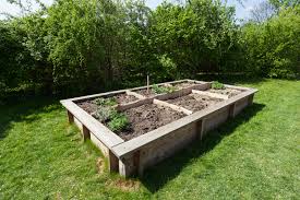 How to Build a Home Garden