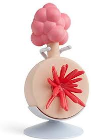 Plumbus