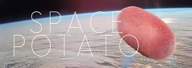 potatoes in space