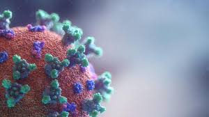Was corona virus made in a lab?
