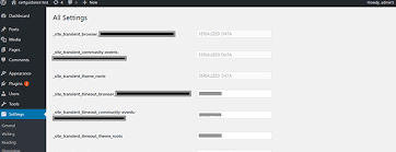 1 secret about wordpress