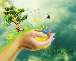 On The Nature of Life