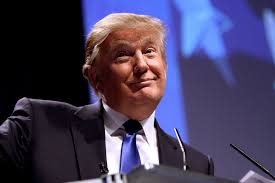 What trump can teach you about business