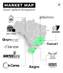 Startups Brasil