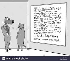 Cats are better at algebra than dogs
