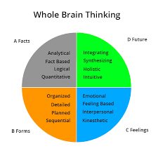 Whole brain learning