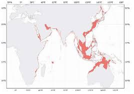 Squid mapping for heath and prosperity