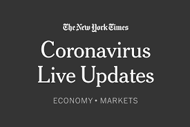 Read These 8 Tips About False Schoolyard To Double Your Business