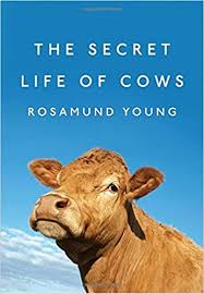 The Secret Life Of Cow