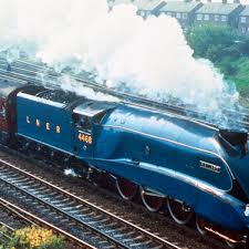 the mallard (the train, not the duck)