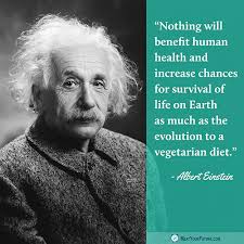 Albert Einstein On Meat