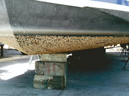 A Day of Anti-fouling