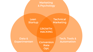 Growth Hacking