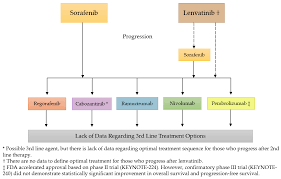 hepatocarcinoma patient journey