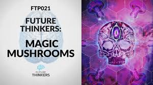 How psilocybin changed my life