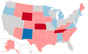 US SENATE ELECTION 2020