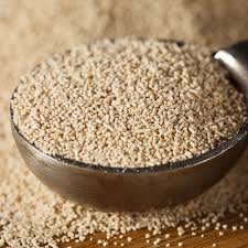 Brewing Yeast