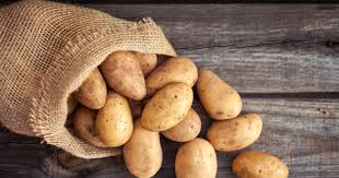 8 Ways Cheese Will Help You Get More Business