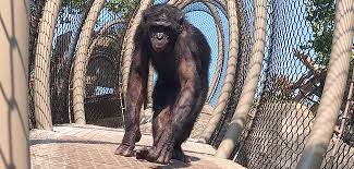 Want A Thriving Business? Focus On Zoo!