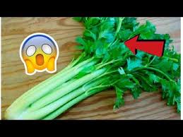 liberate de la hemorroides