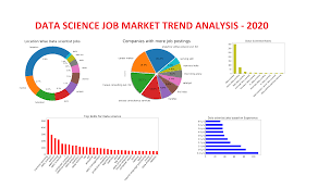 Data science learning - Academic vs along with job