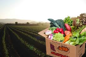 store to door fresh vegetables