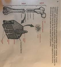 Remarkable Website - Cavity Search Will Help You Get There