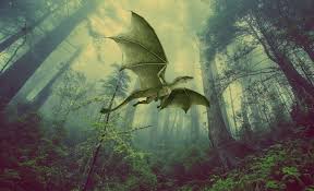 Dragons, drakes and wyverns oh my! The history of the dragon.