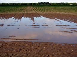 Water runoff Agriculture
