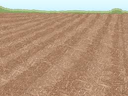 Erosion and Erosion control Agriculture