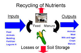 Animal waste management Agriculture