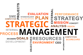 Strategy management