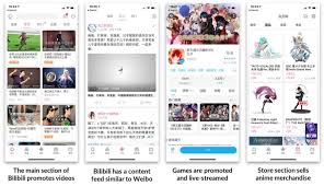 What is Bilibili