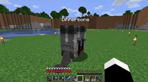 Dinnerbone