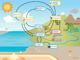 How Green Is Your Internal Respiration?