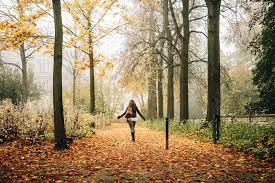 Do you want to do something in this  autumn?