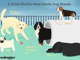 3 most compassionate dog breeds