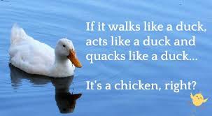 What else, beside a duck, walks and talks like a duck?