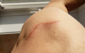 6 Tips For Best Of Class Scareing