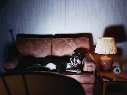 I'm getting familiar with your warm room