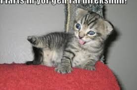 fart fetish why I want to fart on you