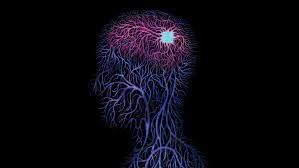 If my charger breaks than I'm going to tell people that my brain does not process information like a computer