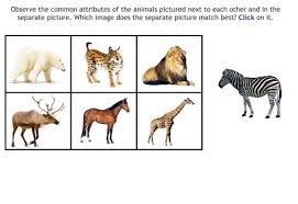 James Bond Just Recommended "Albert Einstein On Giraffe"