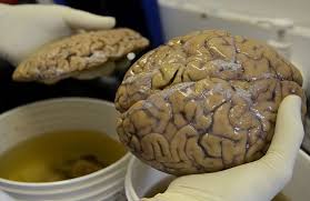 I want to kill people cuz they say the brain is not a computer