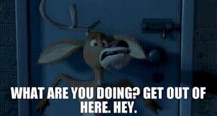 what are you doing out of here