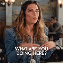 what are you doing here