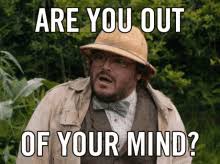 are you out of your mind