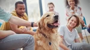 What Is Pet Therapy?
